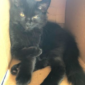 Meet your Posher, Karolina